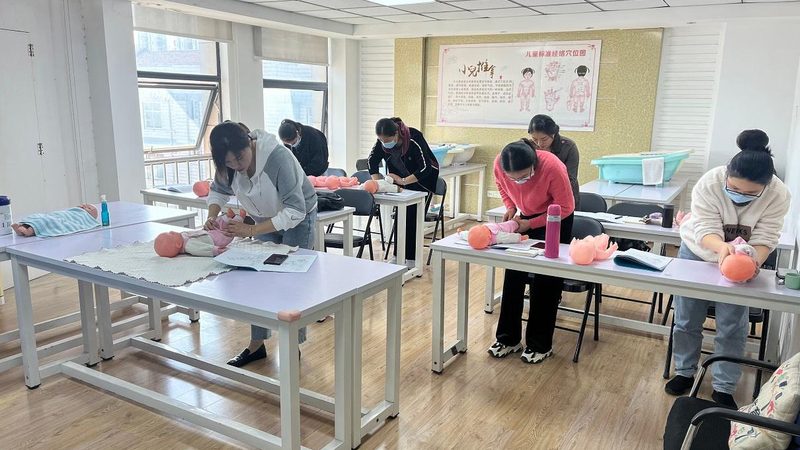 成都育婴师半天收费揭秘：价格背后的考量因素